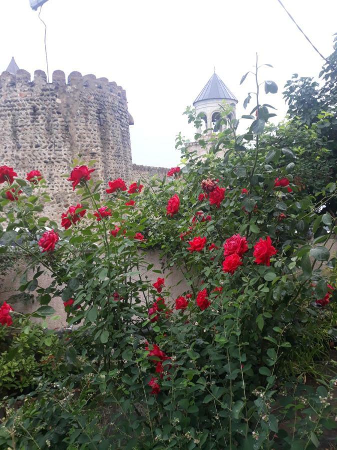 Guest House Sveti Mtsʼkhetʼa 외부 사진